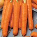 3125