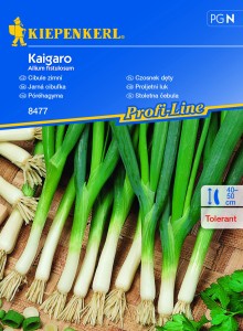 Czosnek Dęty Kaigaro – Kiepenkerl