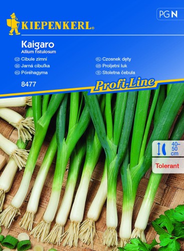 b571dfd0e80443180fd466fb86e326ea