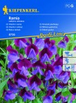 Groszek Pachnący Ramia – Kiepenkerl