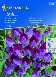 Groszek Pachnący Ramia – Kiepenkerl