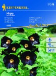 Malwa Ogrodowa Nigra – Kiepenkerl