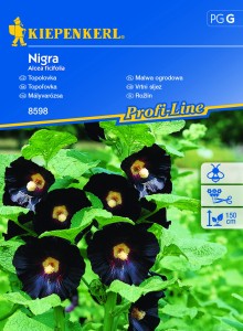 Malwa Ogrodowa Nigra – Kiepenkerl