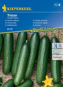 Ogórek Gruntowy Tristan – Kiepenkerl