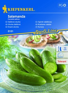 Ogórek Sałatkowy Salamanda – Kiepenkerl