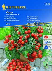 Pomidor Cherry Vilma – Kiepenkerl