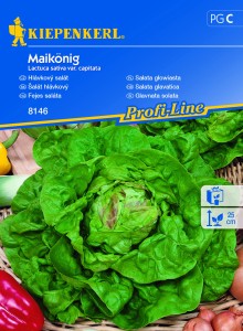 Sałata Głowiasta May King – Kiepenkerl