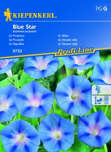 Wilec Blue Star – Kiepenkerl