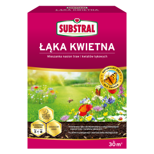 Łąka kwietna - mieszanka traw i kwiatów 300 g