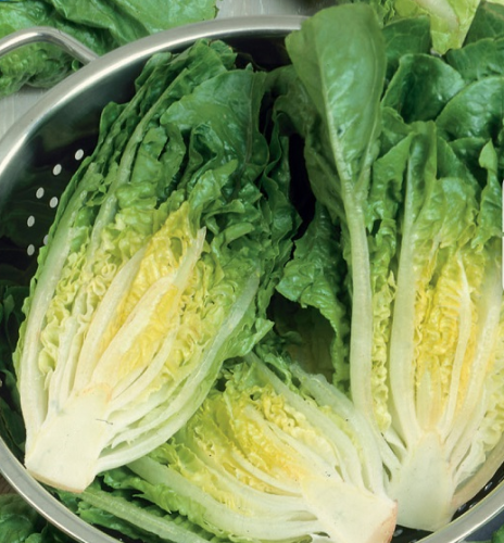 76ea8d71717a5a444fcaafe6e8abee28