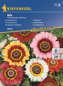 Złocień Chryzantema – Mieszanka – Kiepenkerl