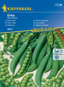 Groch Zwyczajny 'Evita' – Kiepenkerl