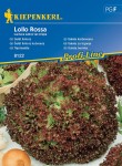 Sałata Karbowana 'Lollo Rossa' – Kiepenkerl