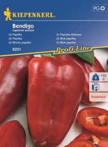 Papryka 'Bendigo' – Odporna – Kiepenkerl