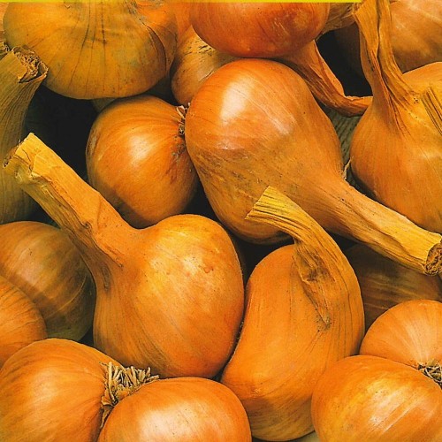 4779