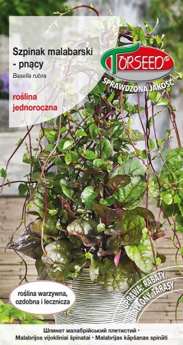 d51ca20072fbc50e400c0eff06052a7a