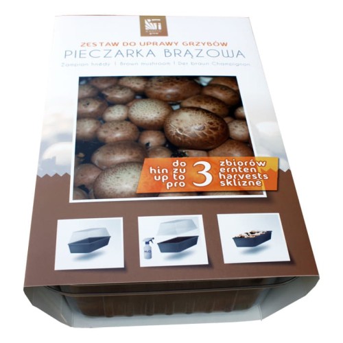 208c0cc89a3ce65c2430930613de84ff