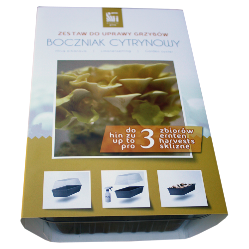 c875bbbcc464e1ca3a21681e4e3caccc