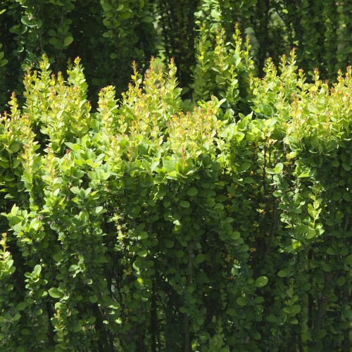 32687d83df1c3c8f1b9b3e5f91d026ce