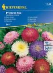 Aster Chiński 'Prinzess' – Mix Nasion – Kiepenkerl