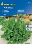 Mięta Pieprzowa – Wieloletnia – Kiepenkerl