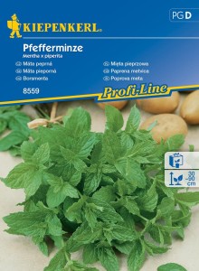 Mięta Pieprzowa – Wieloletnia – Kiepenkerl