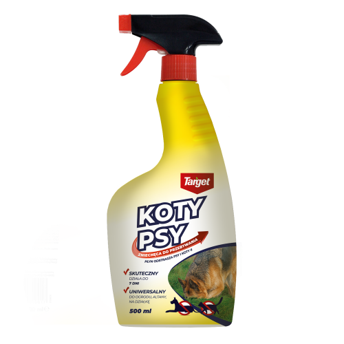 102056.png