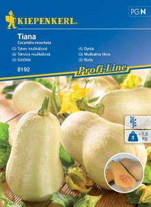 Dynia ,,Tiana‘’ F1 - Kiepenkerl