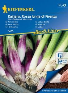 Cebula dymka Kaigaro ,,Rossa lunga di Firenze‘’ - Kiepenkerl
