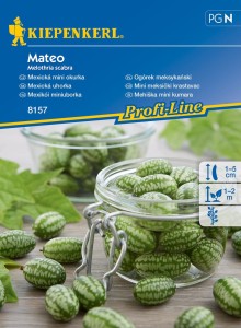 Ogórek meksykański ,,Mateo‘’ - Kiepenkerl