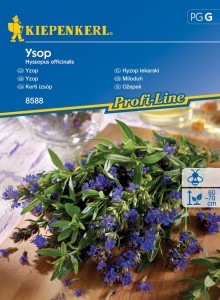 Hyzop lekarski ,, Ysop ‘’ – Kiepenkerl