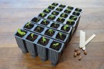 Plastikowe Wkłady do Ukorzeniania - 28 Komórek do Ukorzeniania Roślin 4x4x12cm - Garland