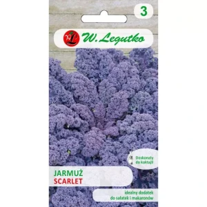 Jarmuż Czerwony Scarlet 1 g Legutko