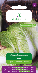 Kapusta Pekińska Hilton 0,5 g Legutko