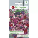 Werbena o Pędach Zwisających 0,3 g Legutko