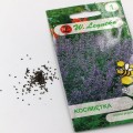 kocimiętka (4).jpg