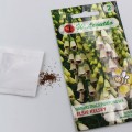naparstnica purpurowa (4).jpg