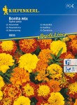 Aksamitka 'Bonita' – Mix Nasion – Kiepenkerl