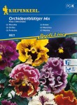 Bratek Ogrodowy – Mix Nasion – Kiepenkerl