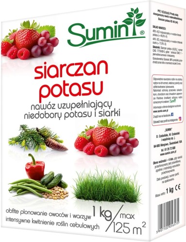 12005
