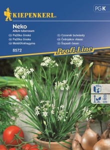 Szczypiorek Czosnkowy 'Neko' – Zimujący – Kiepenkerl