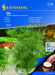 Koper doniczkowy 'Ella' - nasiona na krążku - Kiepenkerl