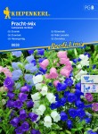 Dzwonek 'Pracht-Mix' - Nasiona - Kiepenkerl