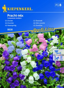 Dzwonek 'Pracht-Mix' - Nasiona - Kiepenkerl