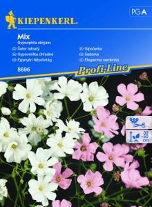 Gipsówka - Mix  Nasiona - Kiepenkerl