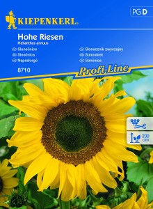 Słonecznik zwyczajny 'Hohe Riesen' - Nasiona - Kiepenkerl