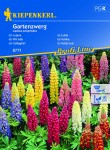 Łubin 'Gartenzwerg' - Nasiona - Kiepenkerl