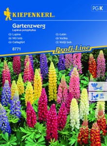Łubin 'Gartenzwerg' - Nasiona - Kiepenkerl