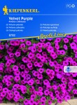 Petunia zwisająca 'Velvet Purple' F1 - Nasiona - Kiepenkerl