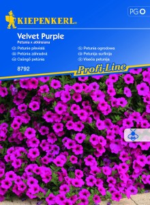 Petunia zwisająca 'Velvet Purple' F1 - Nasiona - Kiepenkerl